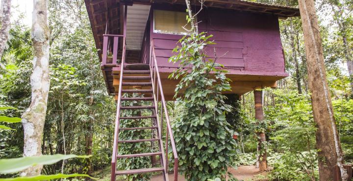 Krishnagiri Sunbird Garden Resort מראה חיצוני תמונה